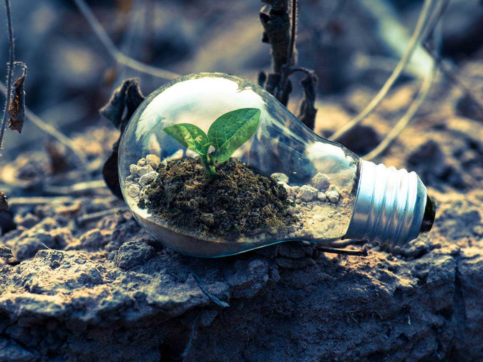 innovate-1